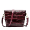 Croco Crossbody Bag