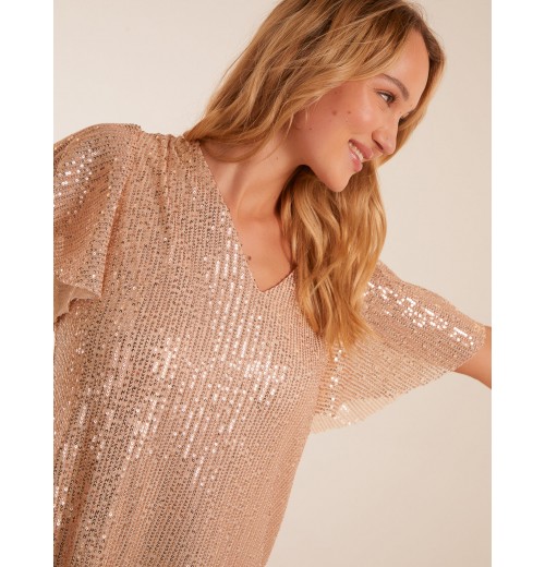 Angel Sleeve V Neck Sequin Top